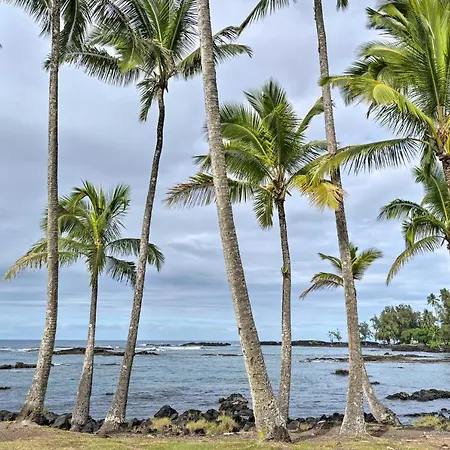 Hilo Oasis - 32 Mi To Volcanoes National Park! Exterior photo